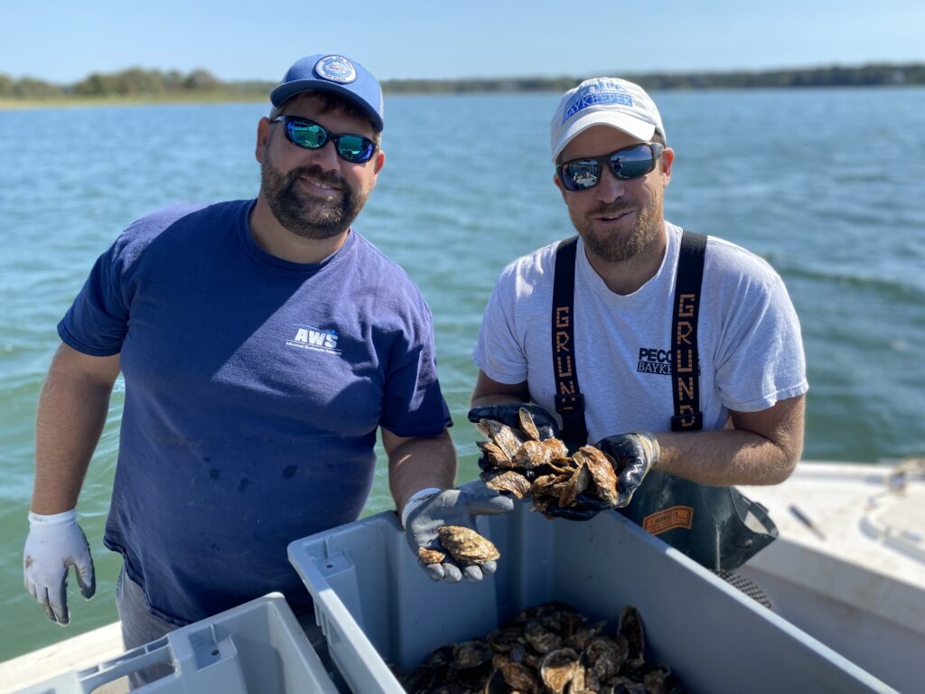 Community Oyster Restoration Program – Peconic Baykeeper